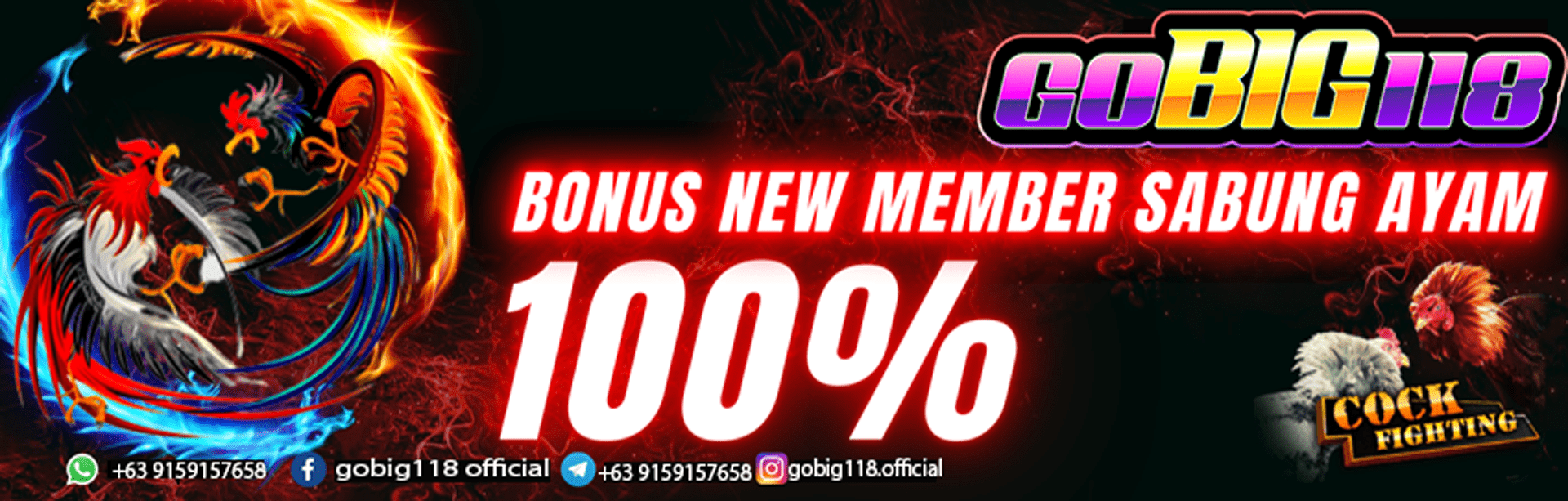 WELCOME BONUS 100% SABUNG AYAM