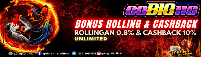 Rollingan Mingguan Sabung Ayam 0.8% Cashback Kekalahan 10%
