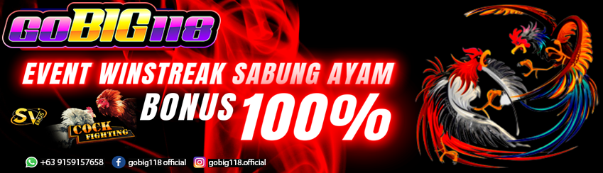 Event Winstreak Sabung Ayam